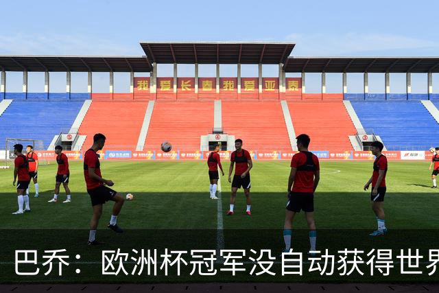 巴乔：欧洲杯冠军没自动获得世界杯资格 这是耻辱